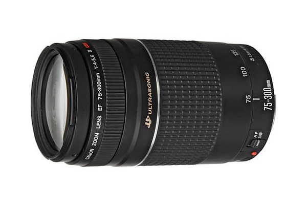 Canon 75-300 4-5.6